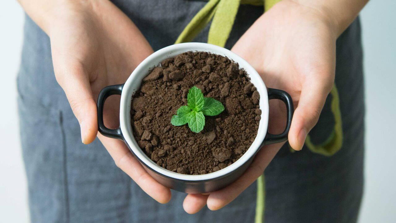 Tipp: Kaffeesatz als natürlicher Dünger nutzen. 