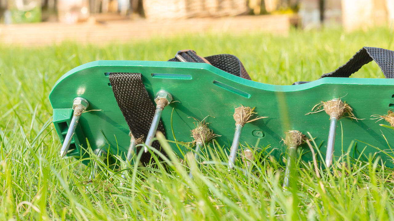 Praktisch fürs Rasen lüften sind Rasenlüfter-Schuhe.