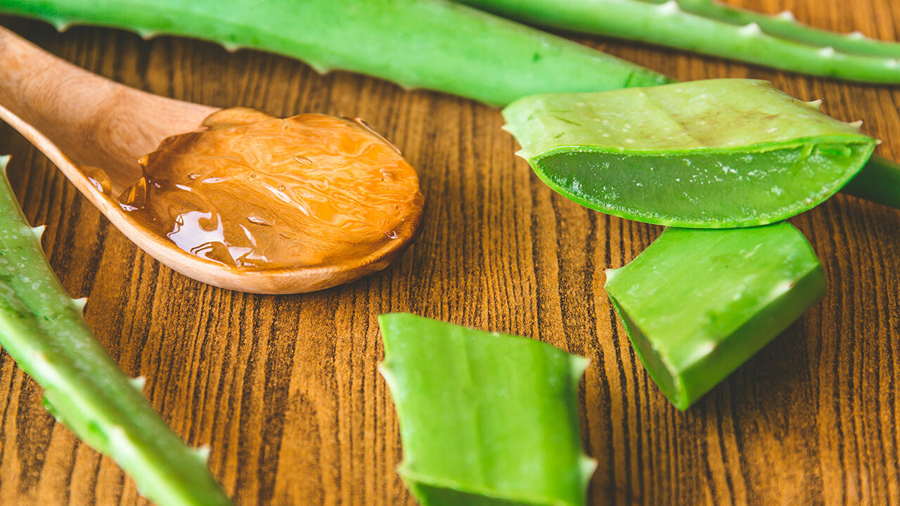 Das Gel der Aloe vera wirkt feuchtigkeitsspendend und kühlend. Trotzdem sollte es nur sparsam eingesetzt werden.