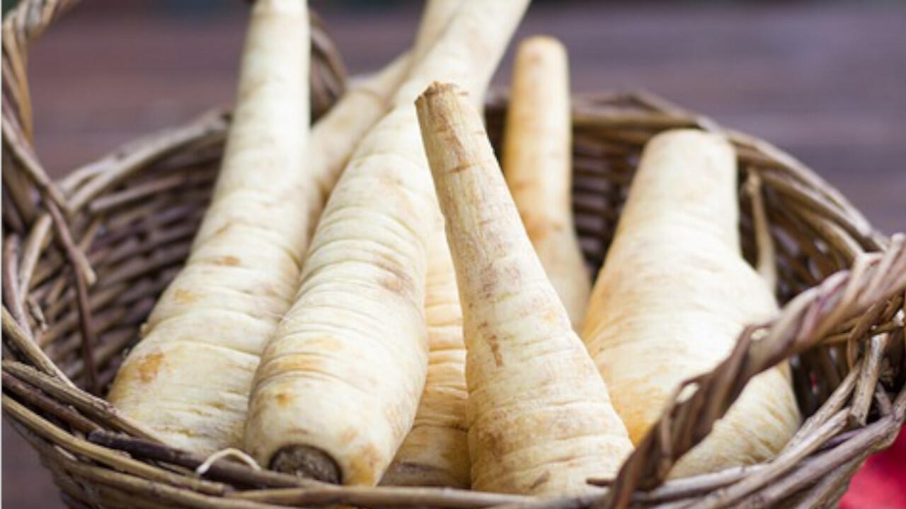 Pastinaken haben im Winter Saison und schmecken leicht süß.