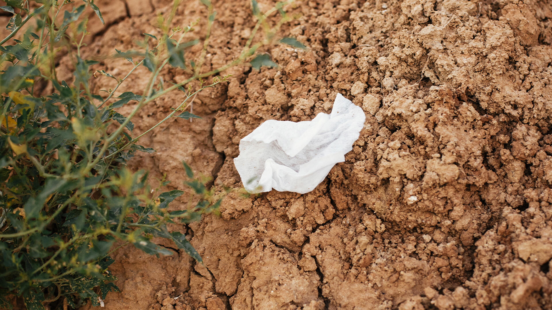 Auch wenn "kompostierbar" auf der Verpackung steht – Feuchttücher haben nichts auf dem Kompost oder in der Toilette verloren. Auch wenn "kompostierbar" auf der Verpackung steht – Feuchttücher haben nichts auf dem Kompost oder in der Toilette verloren.
