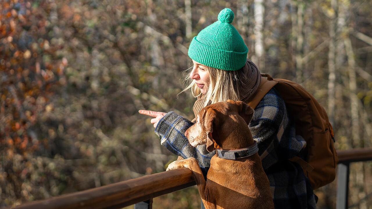 Mit Hilfe von UV-B-Strahlung ist der Körper in der Lage, Vitamin D selbst zu produzieren. Mit Hilfe von UV-B-Strahlung ist der Körper in der Lage, Vitamin D selbst zu produzieren.
