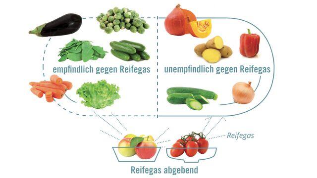 Wenn Sie Lebensmittel, die das Reifegas Ethylen abgeben, nebeneinander lagern, reifen diese schneller nach. Das kann erwünschte oder unerwünschte Folgen haben.