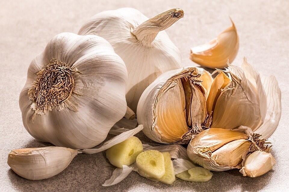 Wenn Sie Knoblauch einfrieren, verliert er an Geschmack.