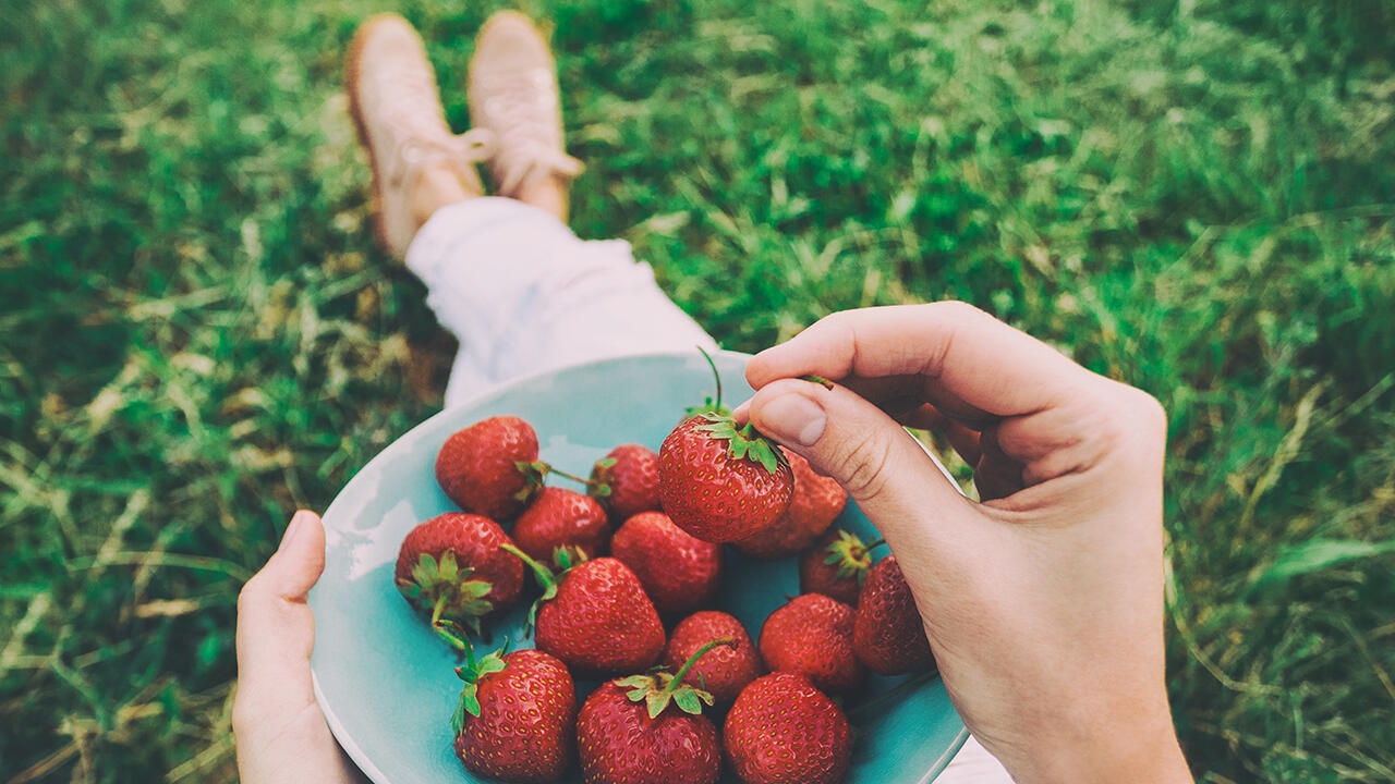 Erdbeeren Pflanzen Im Mai So Klappt Es Mit Der Ernte Im Sommer Oko Test