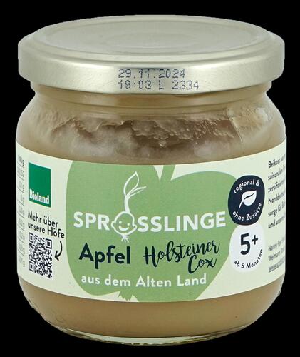 Sprösslinge Apfel Holsteiner Cox, Bioland