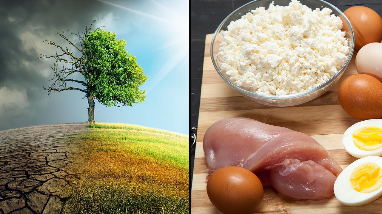 Vegan fürs Klima: Das haben Fleisch, Käse & Co. mit Klimawandel zu tun