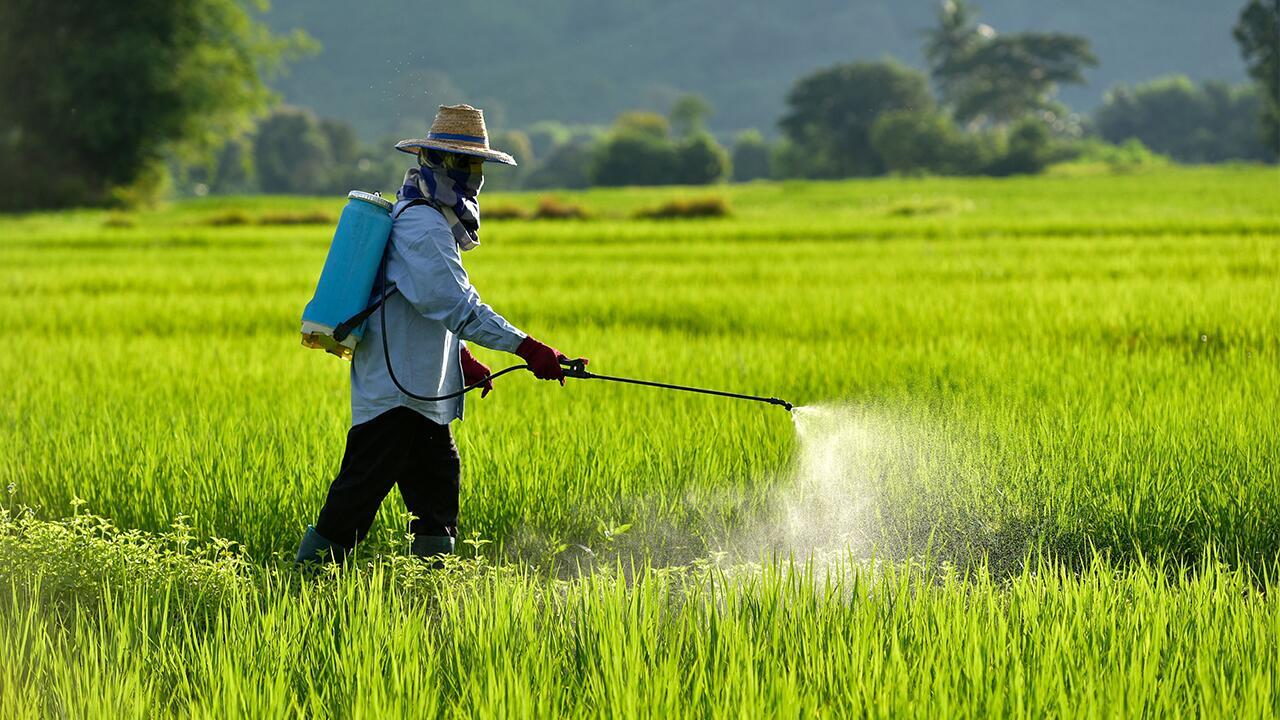 Pestizide: Diese Risiken bergen die Spritzgifte für Mensch und Umwelt