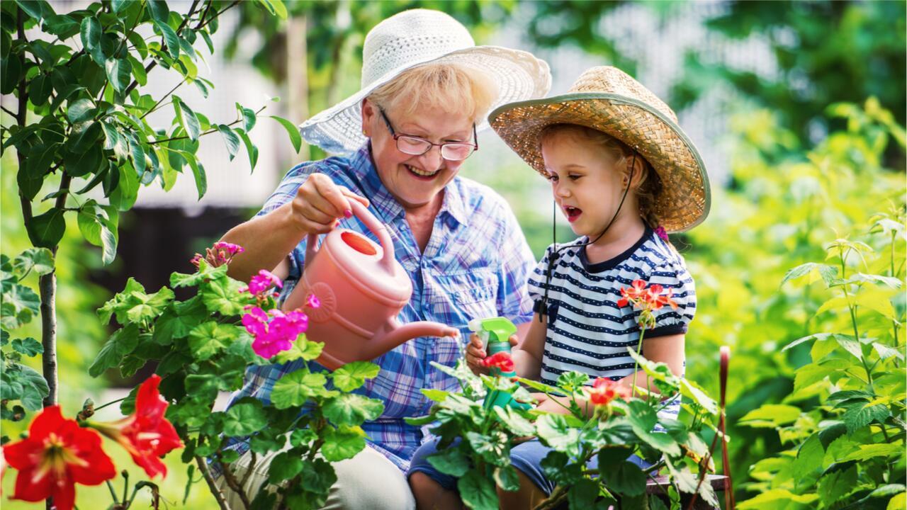 Wasser sparen im Garten: 12 Tipps für Pflanzen und Geldbeutel