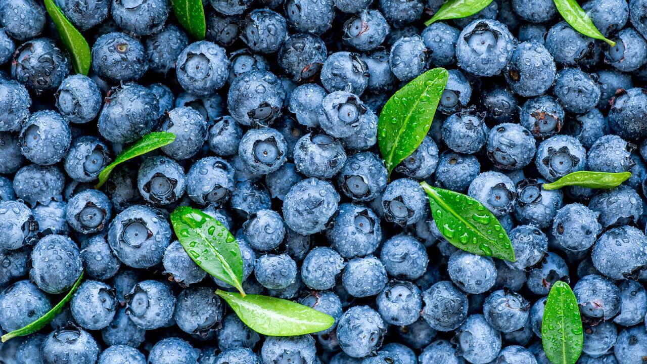 Heidelbeeren richtig lagern: Wie das Obst lange frisch bleibt