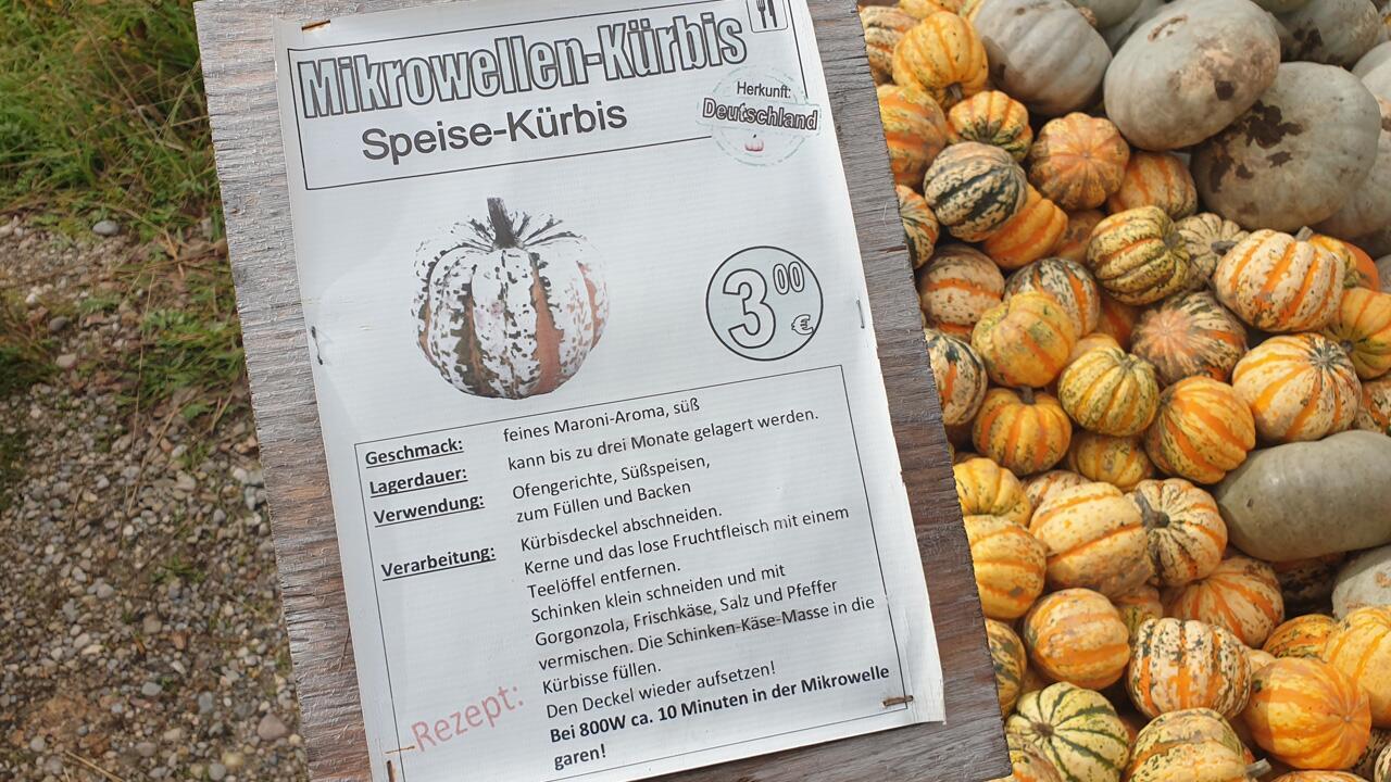 Mikrowellenkürbis: Zubereitungstipps für die neue Kürbissorte