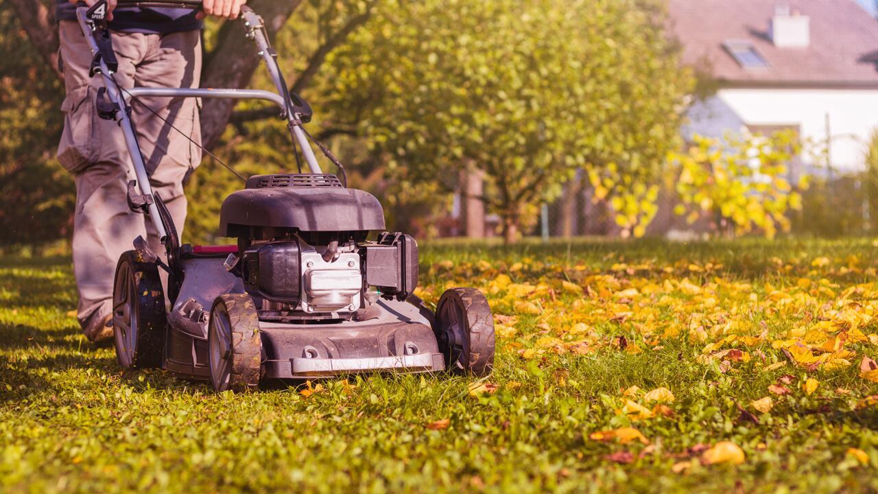 Letztes Rasenmähen im Herbst: Wann ist der richtige Zeitpunkt?