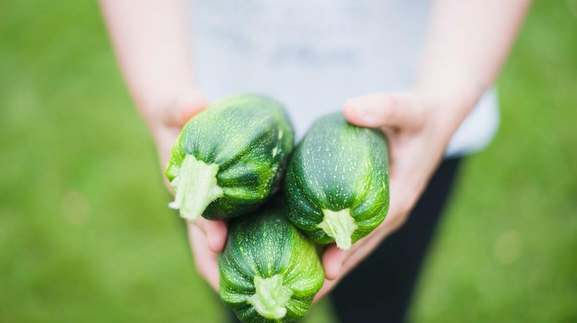 Zucchini roh essen: Ist das unbedenklich – oder ungesund?