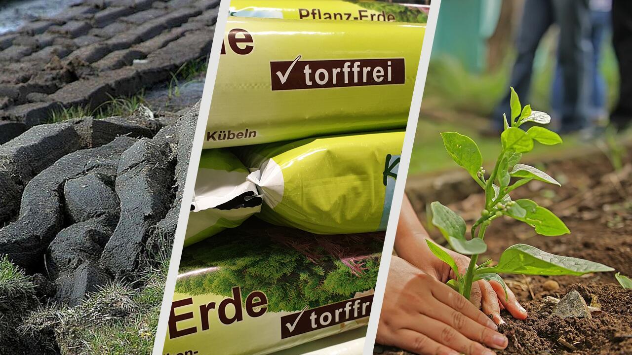 Bitte ohne Torf: Warum man Blumenerde ohne Torf kaufen sollte