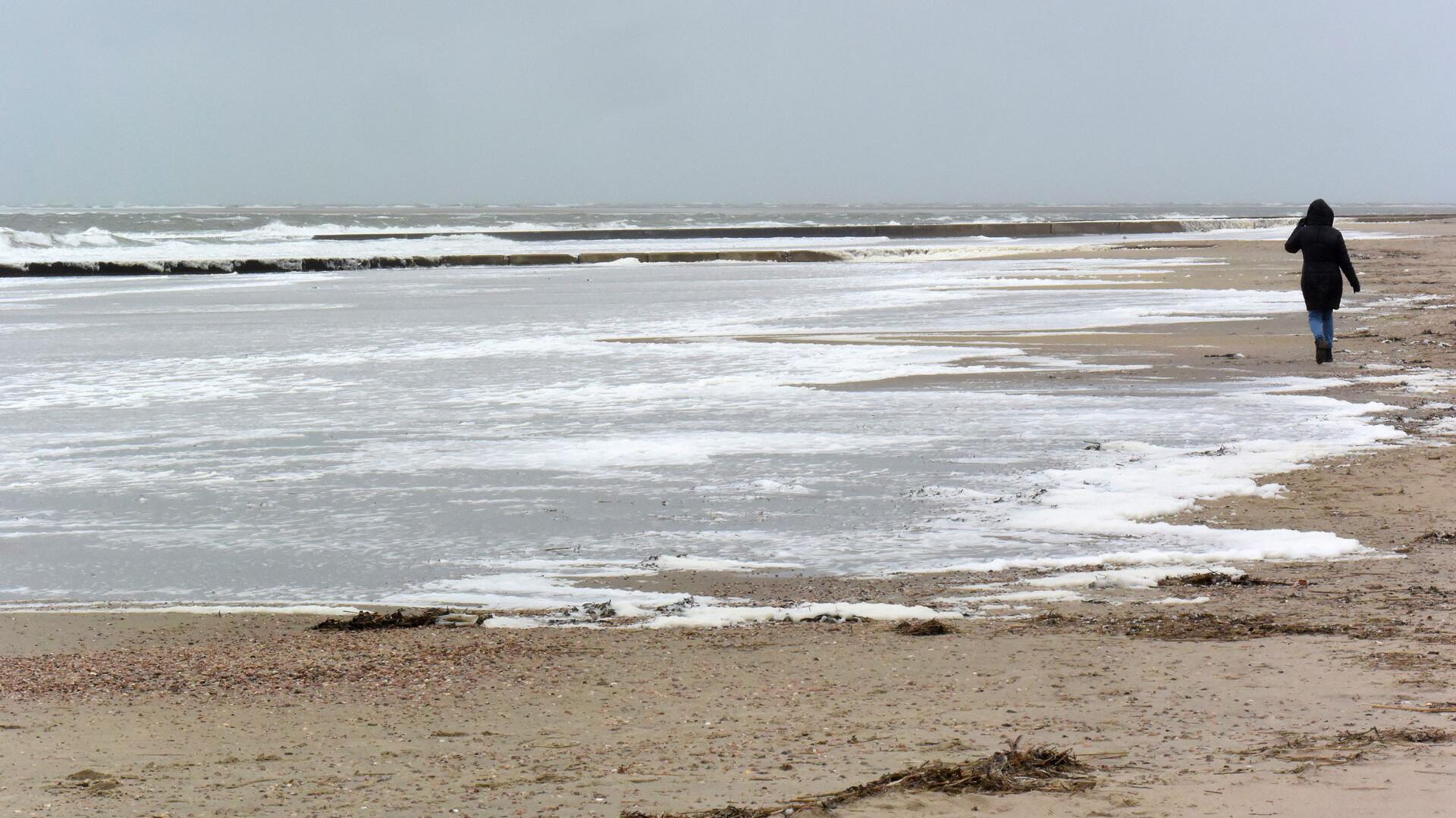 Nord- und Ostseeküste durch PFAS-Chemikalien belastet