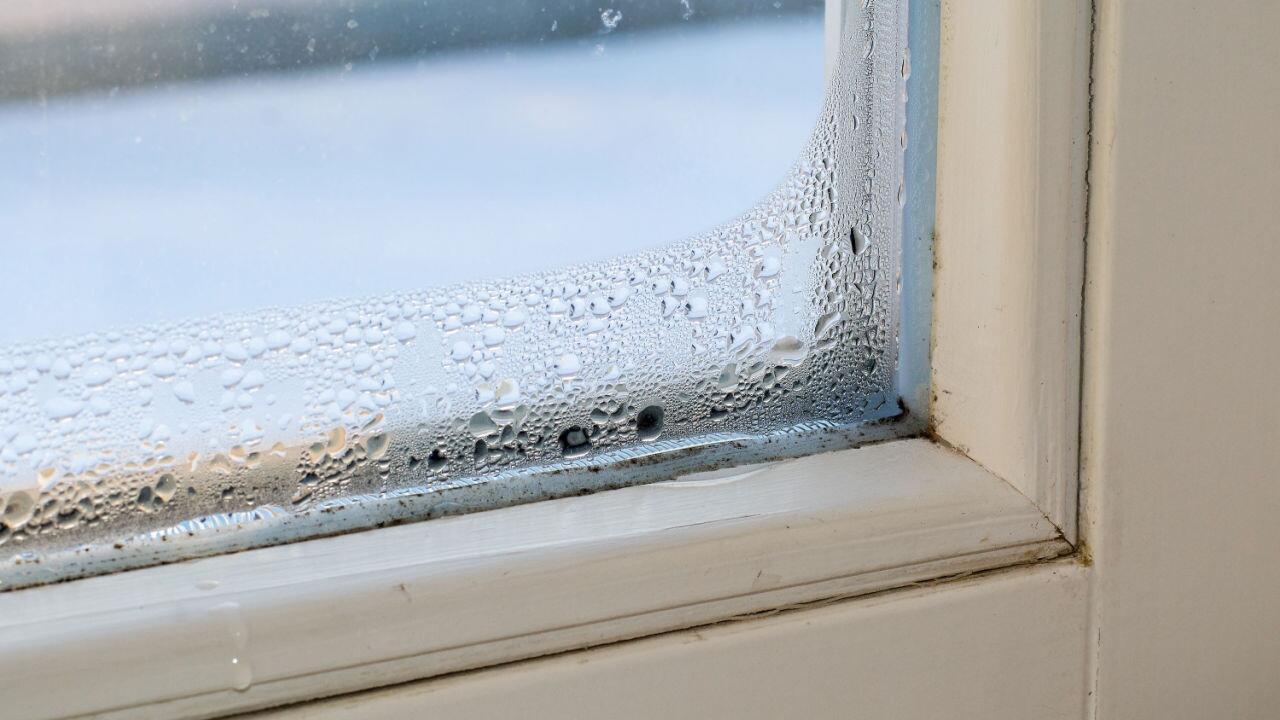 Kondenwasser: Nasse Fensterscheiben (und Schimmel) vermeiden leicht gemacht