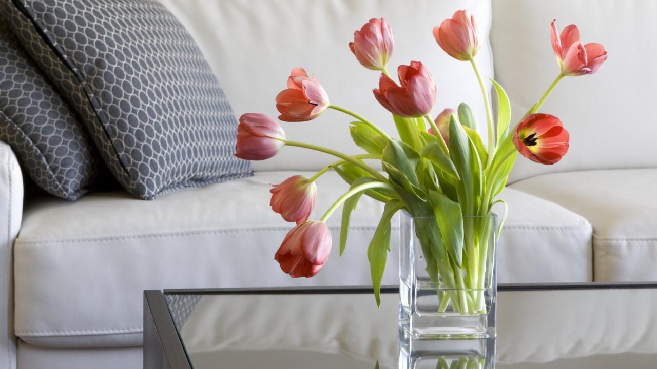 So blühen Tulpen in der Vase länger: 7 Tipps