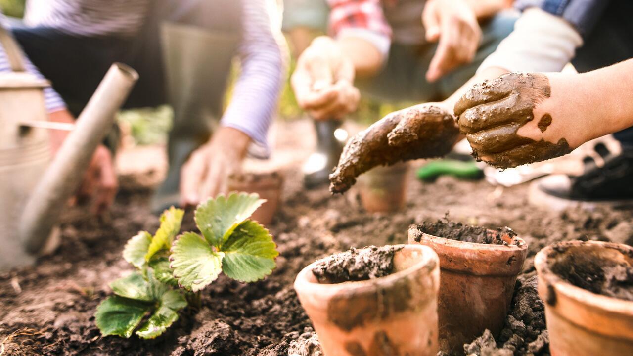 Gartenarbeit im April: So machen Sie Ihren Garten fit für die warme Jahreszeit Gartenarbeit im April: So machen Sie Ihren Garten fit für die warme Jahreszeit