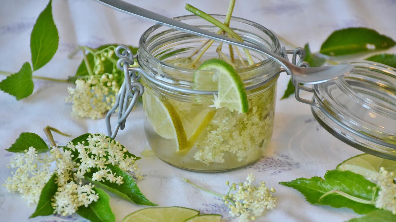 Holunderblütensirup selber machen: Ein schnelles Rezept für die beliebte Hugo-Zutat Holunderblütensirup selber machen: Ein schnelles Rezept für die beliebte Hugo-Zutat
