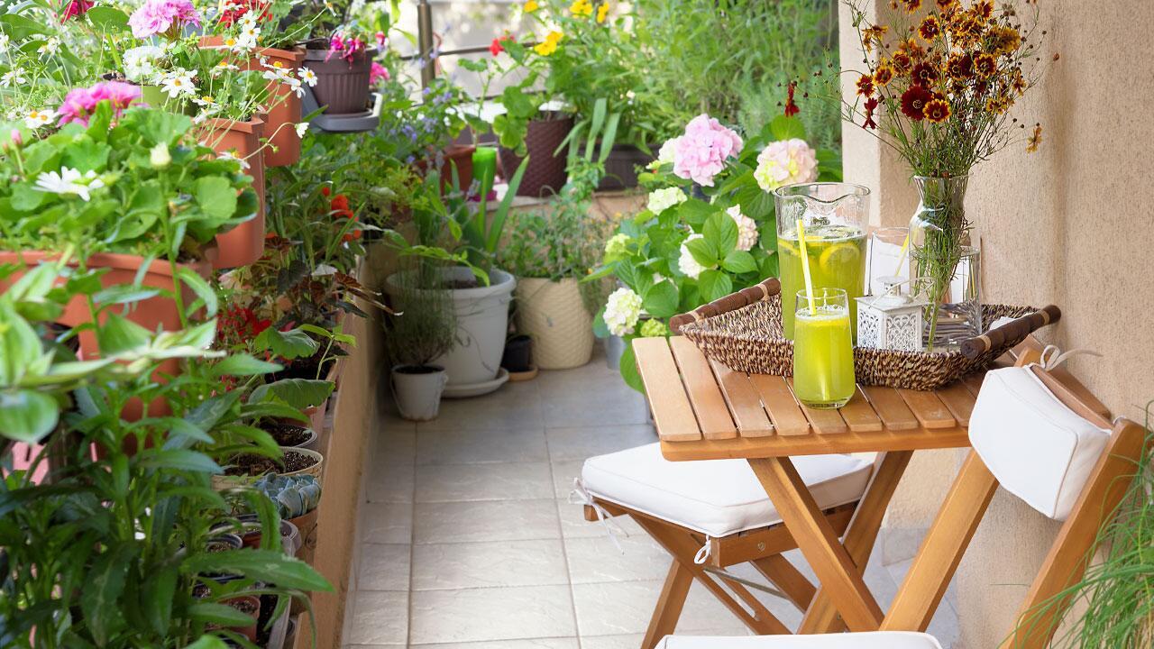 Pflanzen bewässern in der Urlaubszeit: 4 clevere Tricks Pflanzen bewässern in der Urlaubszeit: 4 clevere Tricks