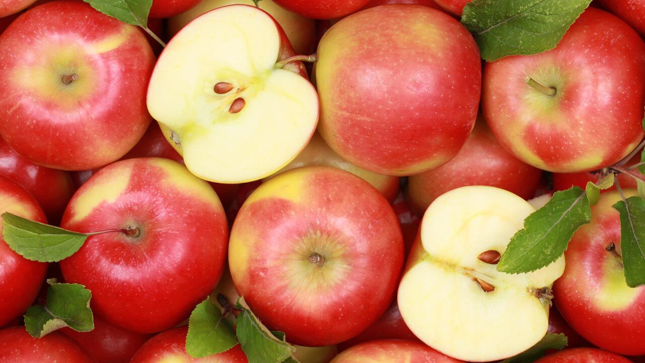 Kann ich Apfelkerne und Kerngehäuse mitessen? Kann ich Apfelkerne und Kerngehäuse mitessen?